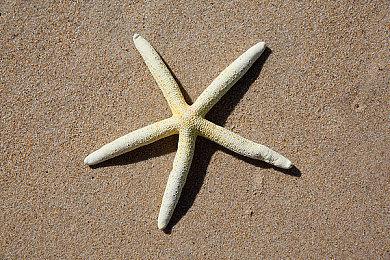 高能电玩节：《英雄连3》美术与写实视频公开